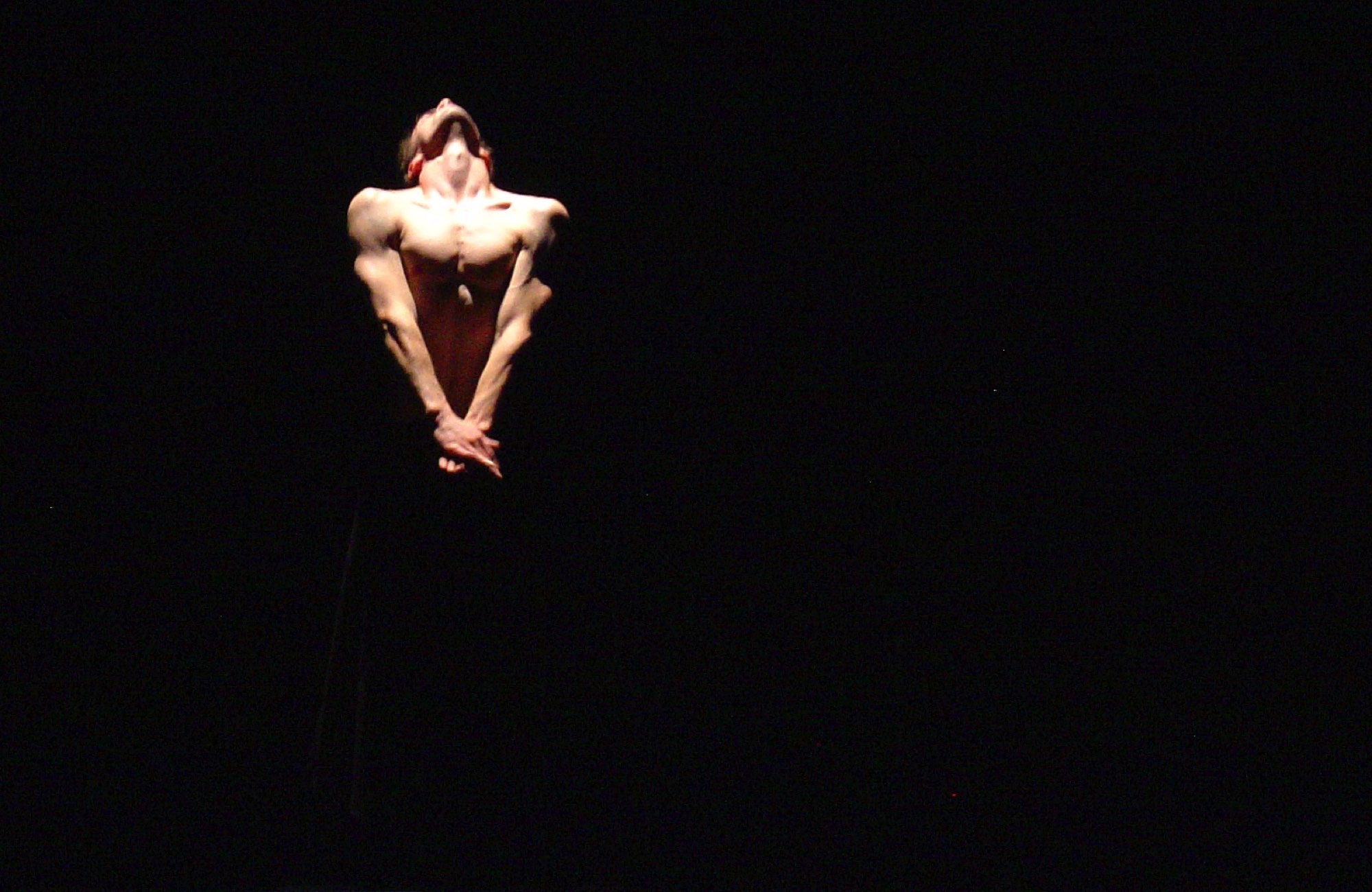 les Compagnies de danse.